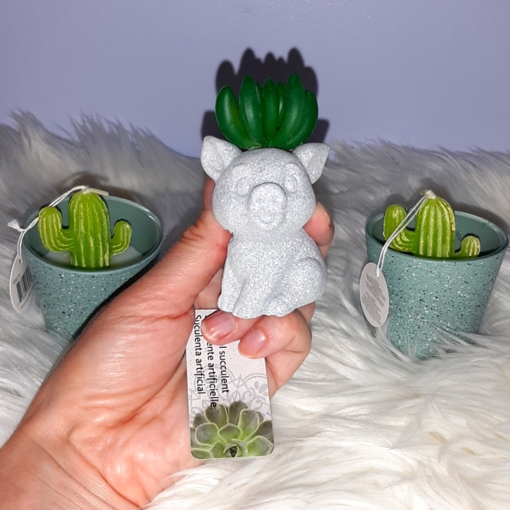 Small Artificial Succulent & Candles  NWT